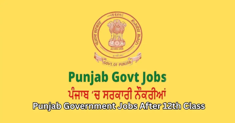 Punjab Government Jobs After 12th – How To Apply?