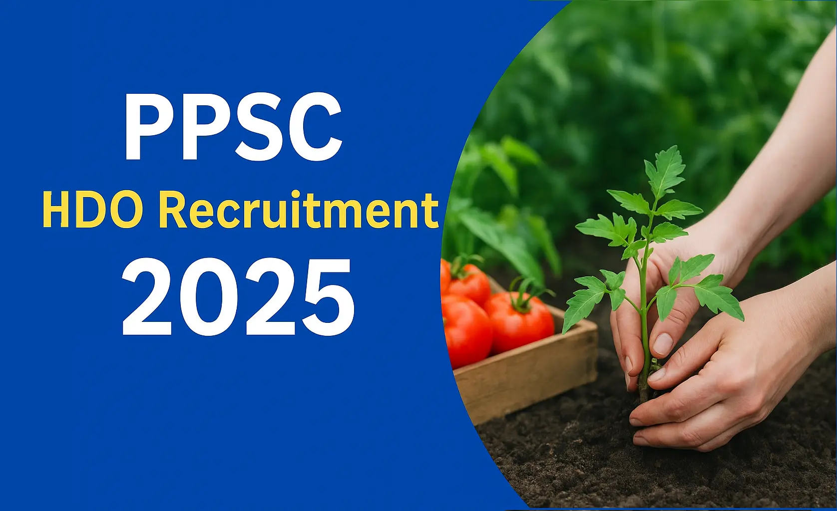PPSC HDO Recruitment 2025