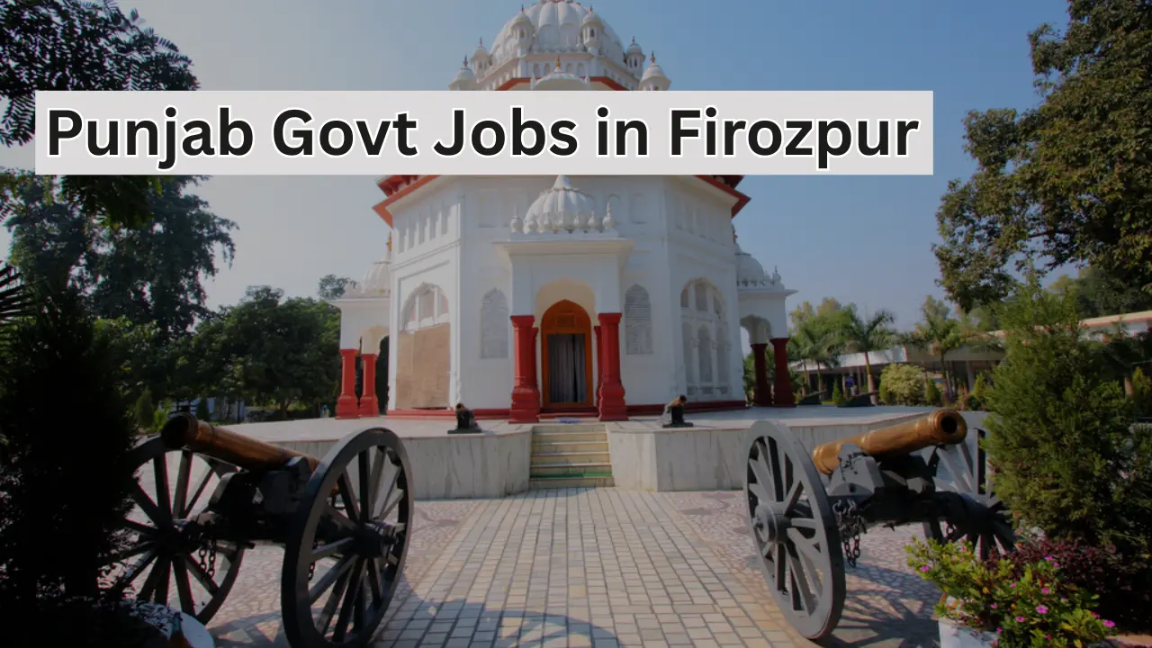 Punjab Govt Jobs in Firozpur